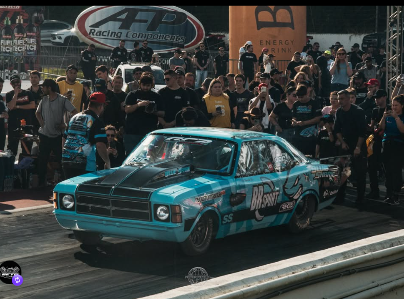 Opala Blue Shark